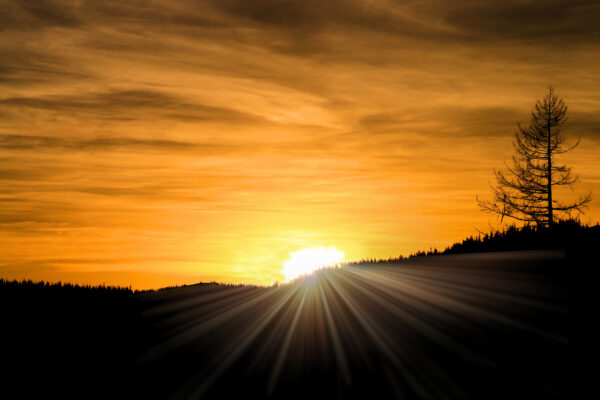 5004 Golden Sunset