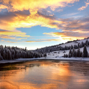 5006 Reflections