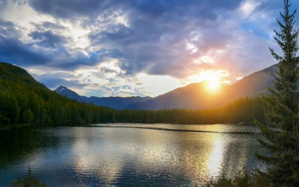 5007 Nightfall