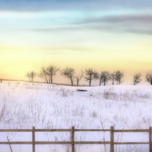 4033 Wycliffe Sunset