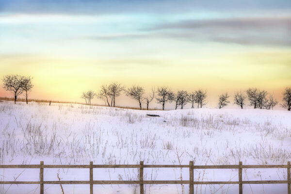 4033 Wycliffe Sunset