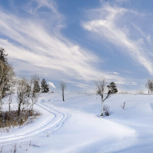 4021 Winter in the Country