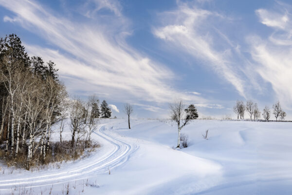 4021 Winter in the Country