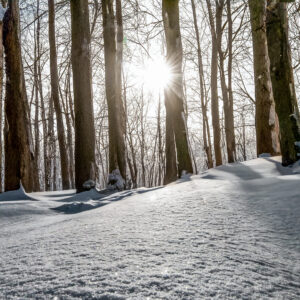 4030 Snow Story