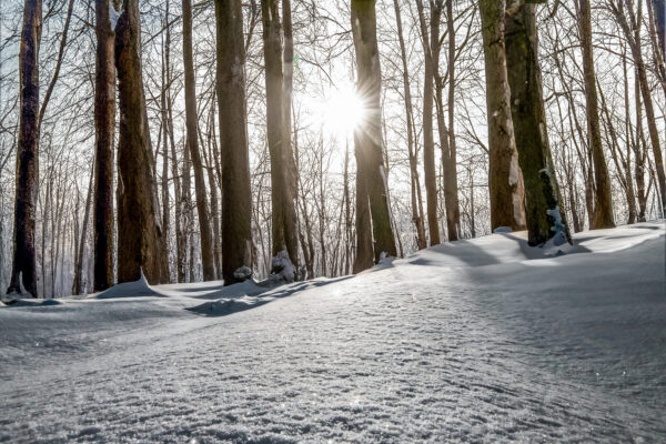 4030 Snow Story