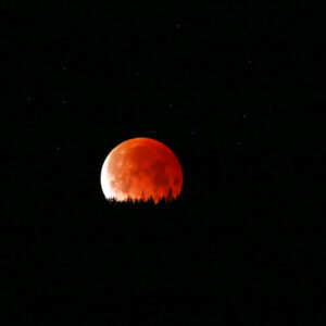 7002 Blood Moon II