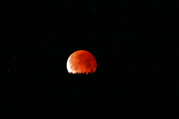 7002 Blood Moon II