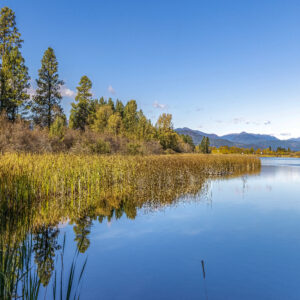 2062 Wasa Wetlands