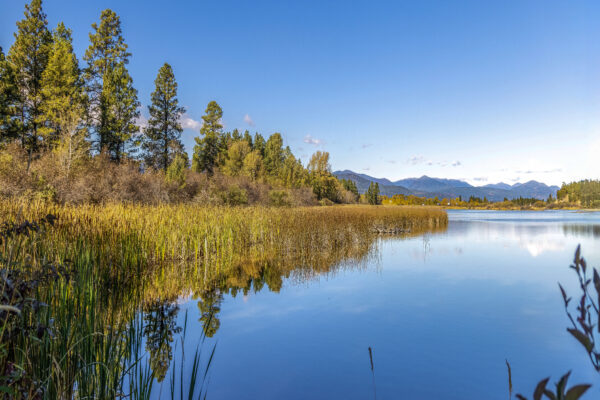 2062 Wasa Wetlands