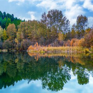2014 Mineral Lake