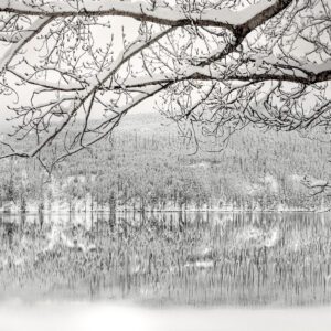 4025 Winter Wonders