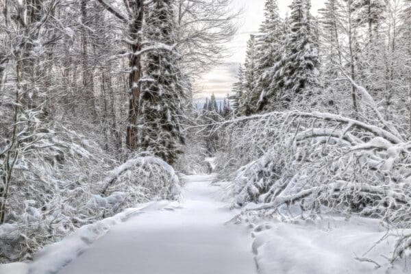 4034 After the Snow