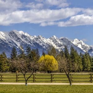 3012 Fort Steele B.C.