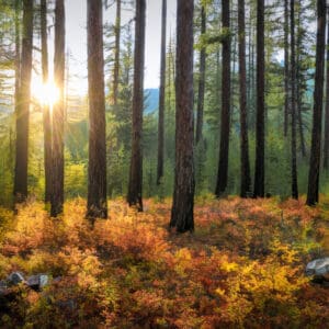 3030 Gartside Lake sunset