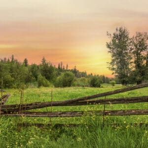 3046 Wycliffe Wonders